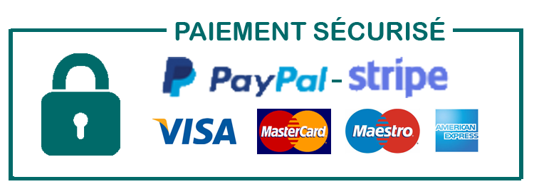 Logo Paypal - Stripe et CB 300px